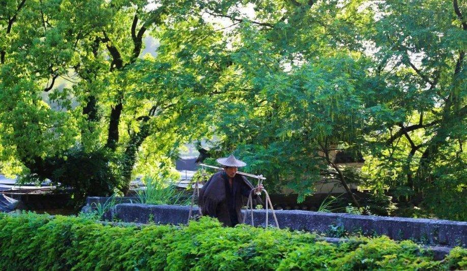 华为荣耀30变黑白，怎么调回彩色？