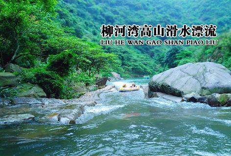 探索羊腿肉炖汤好还是红烧好吃?-知识星球平台